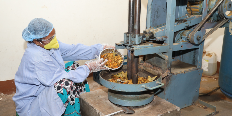 Unlocking flavour and health: The benefits of iron pounded spices with Urmi's pounded range